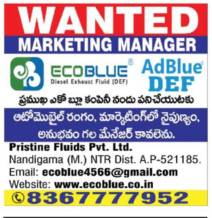 Hiring: Marketing Manager for EcoBlue