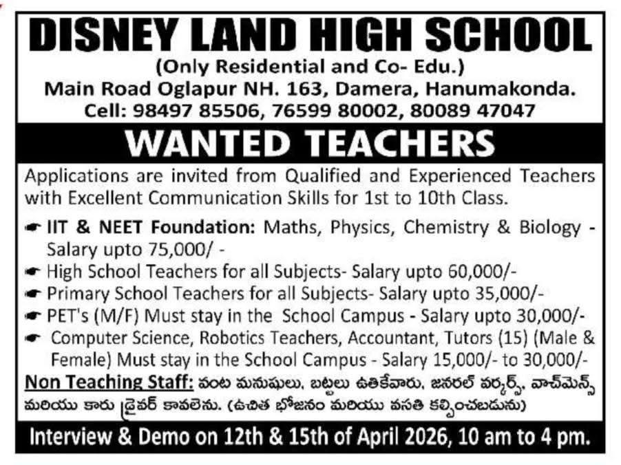 Hiring Teachers & Non Teaching Staff At Disney Land High School