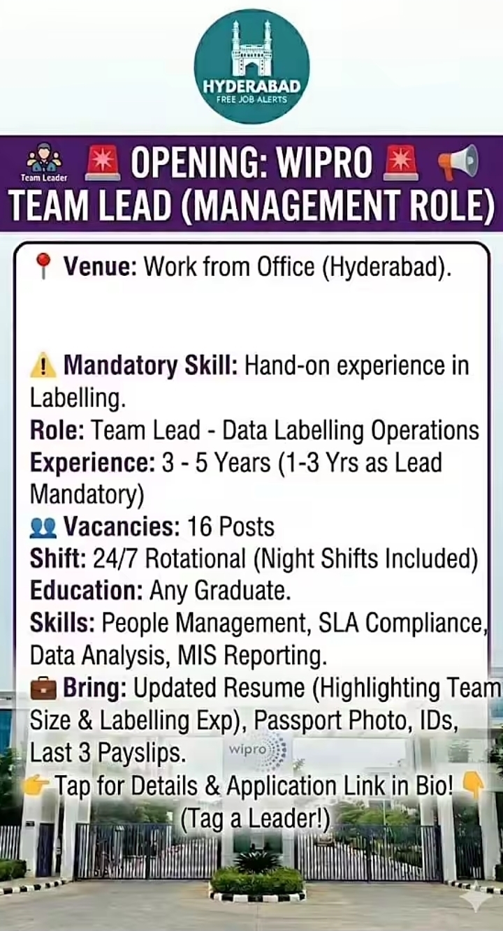 Hiring Team Lead for Data Labelling Operations