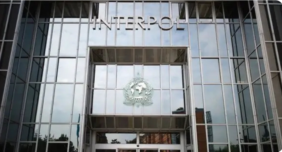 INTERPOL Internship 2025 in France (Fully Funded)