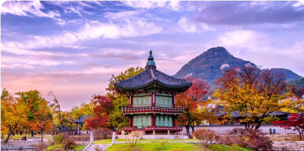 KAIST-X Summer Internship 2026 (South Korea)  Fully Funded