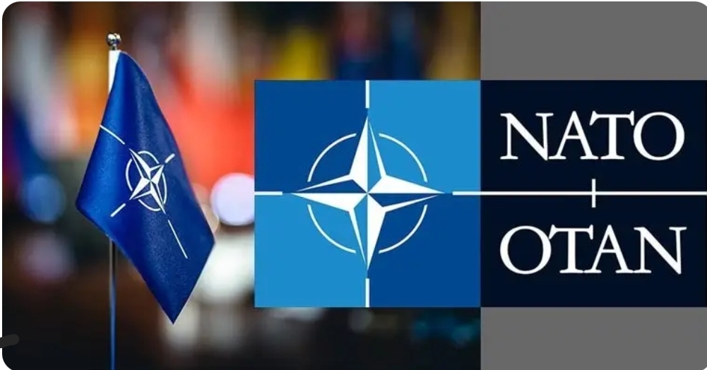 NATO Internship Program 2026 in Belgium | Fully Funded