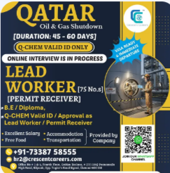 PERMIT RECEIVER [LEAD WORKER]