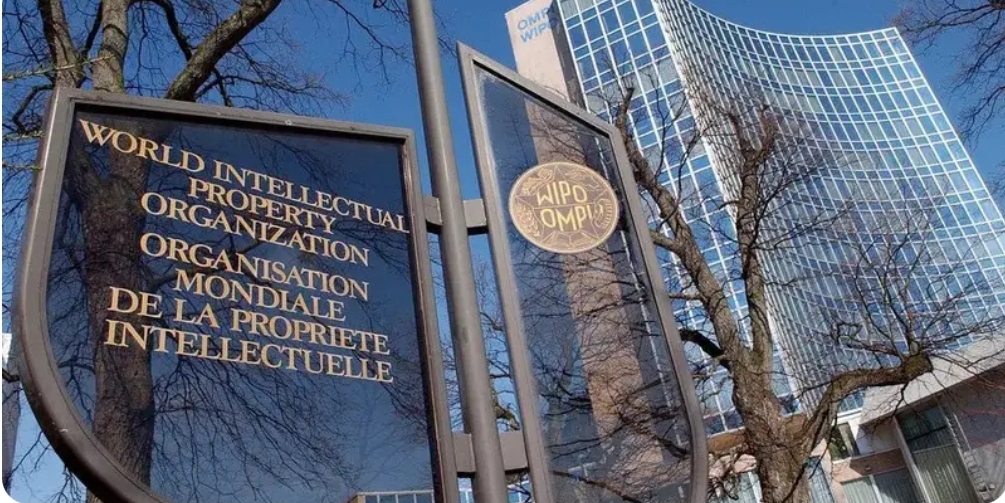 WIPO Young Experts Program 2026/27 Switzerland (Fully Funded)