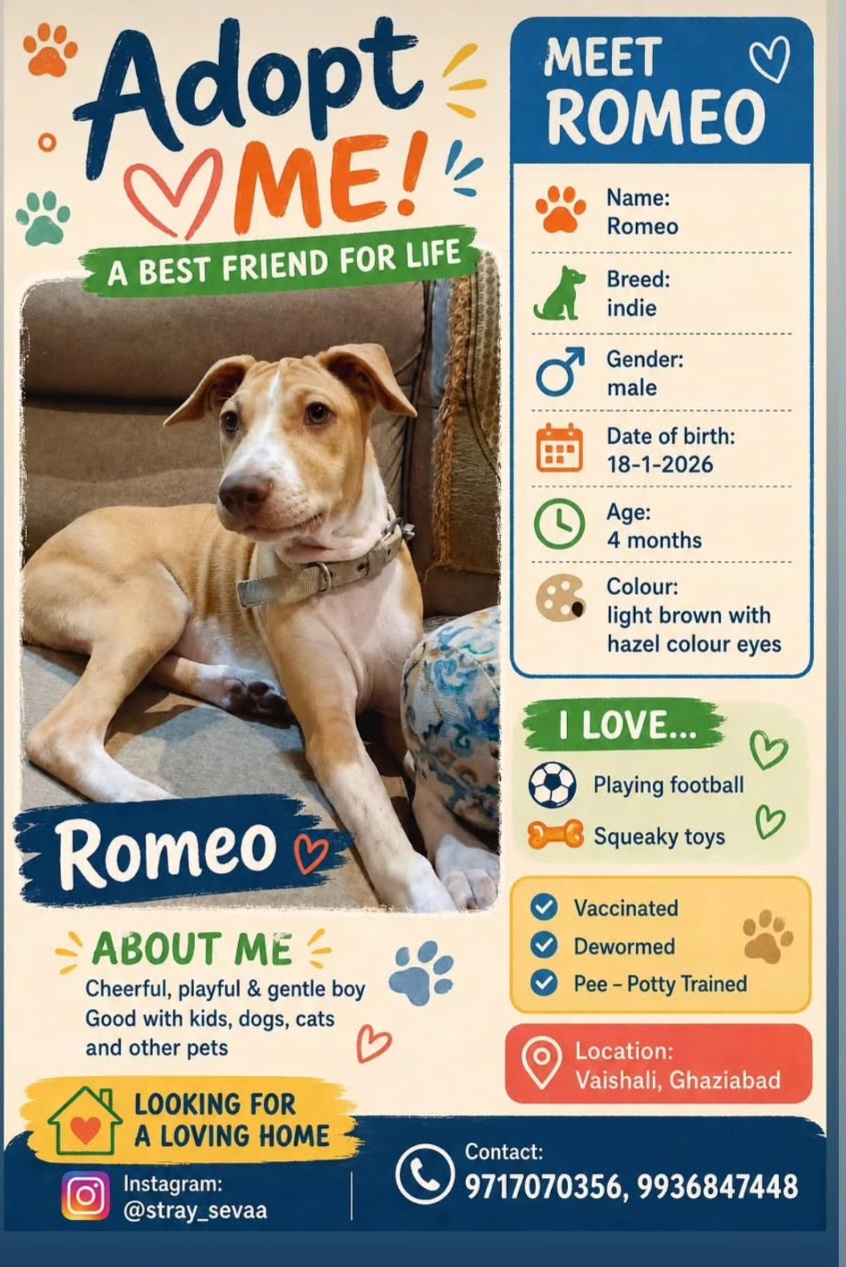 ADOPT A BEST FRIEND FOR LIFE