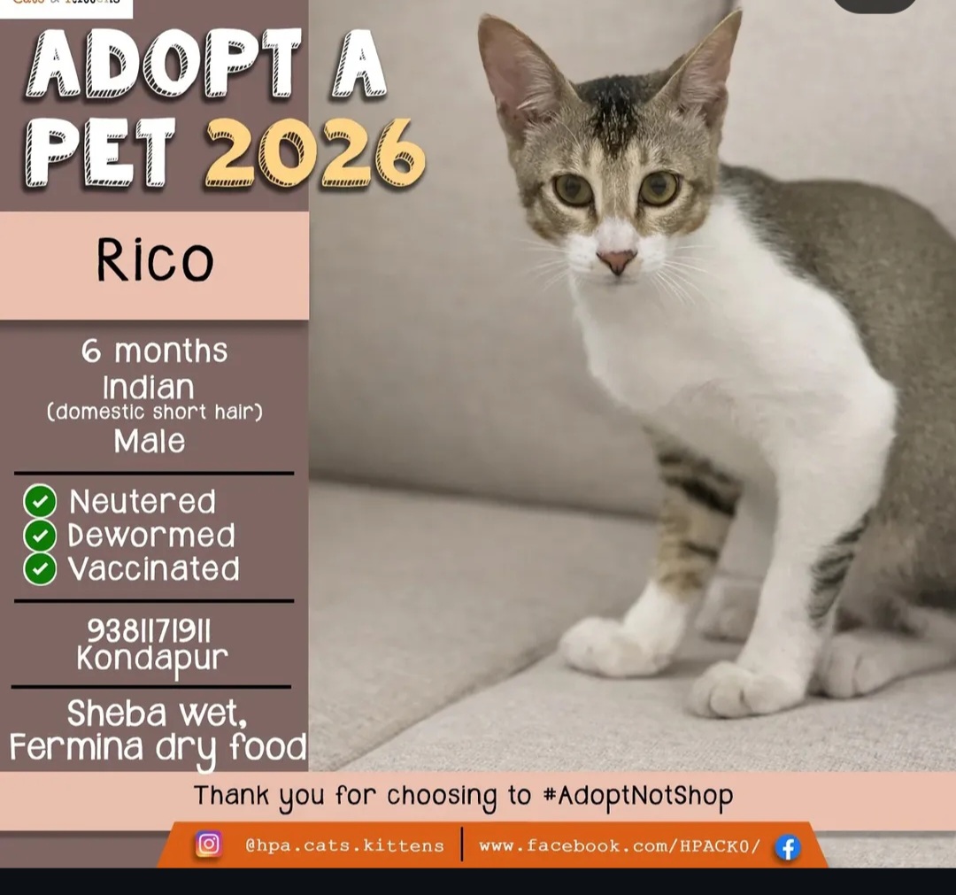 🐾 ADOPT A PET 2026 – Meet Rico! 🐾