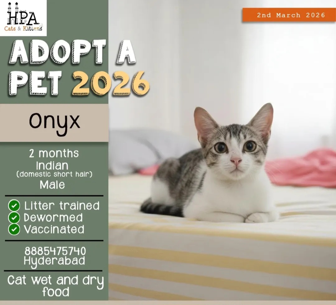 ADOPT A PET 2026 🐾