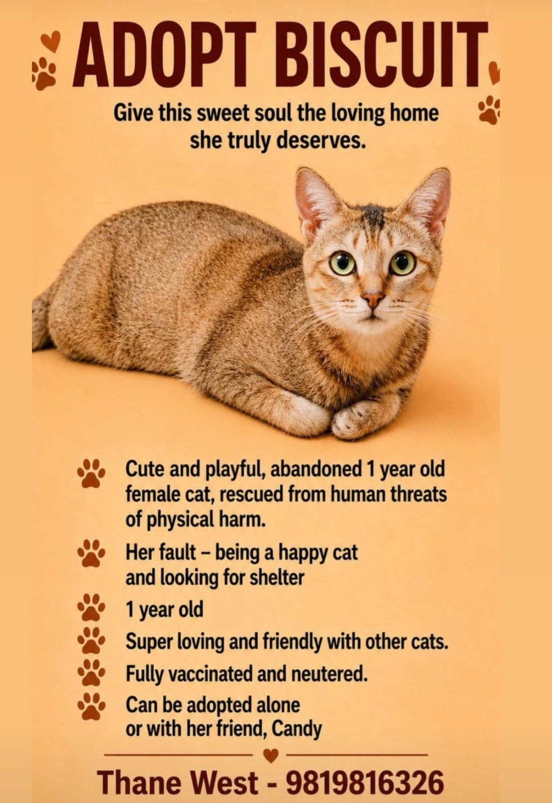 ADOPT BISCUIT