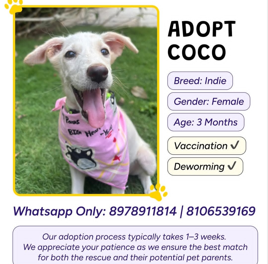 ADOPT COCO