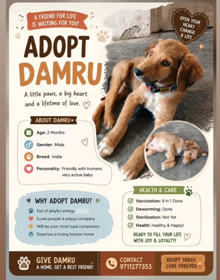 ADOPT DAMRU