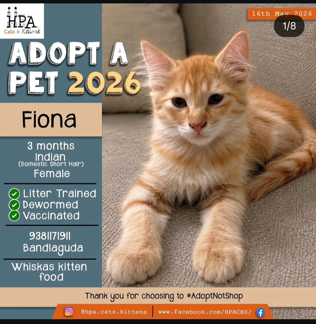 Adopt Fiona