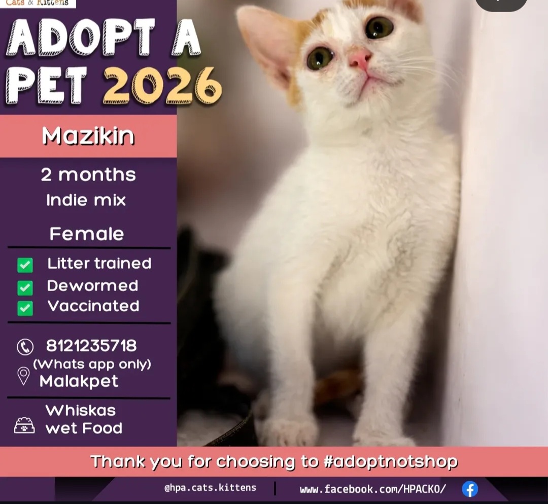 🐾 ADOPT MAZIKIN 🐾