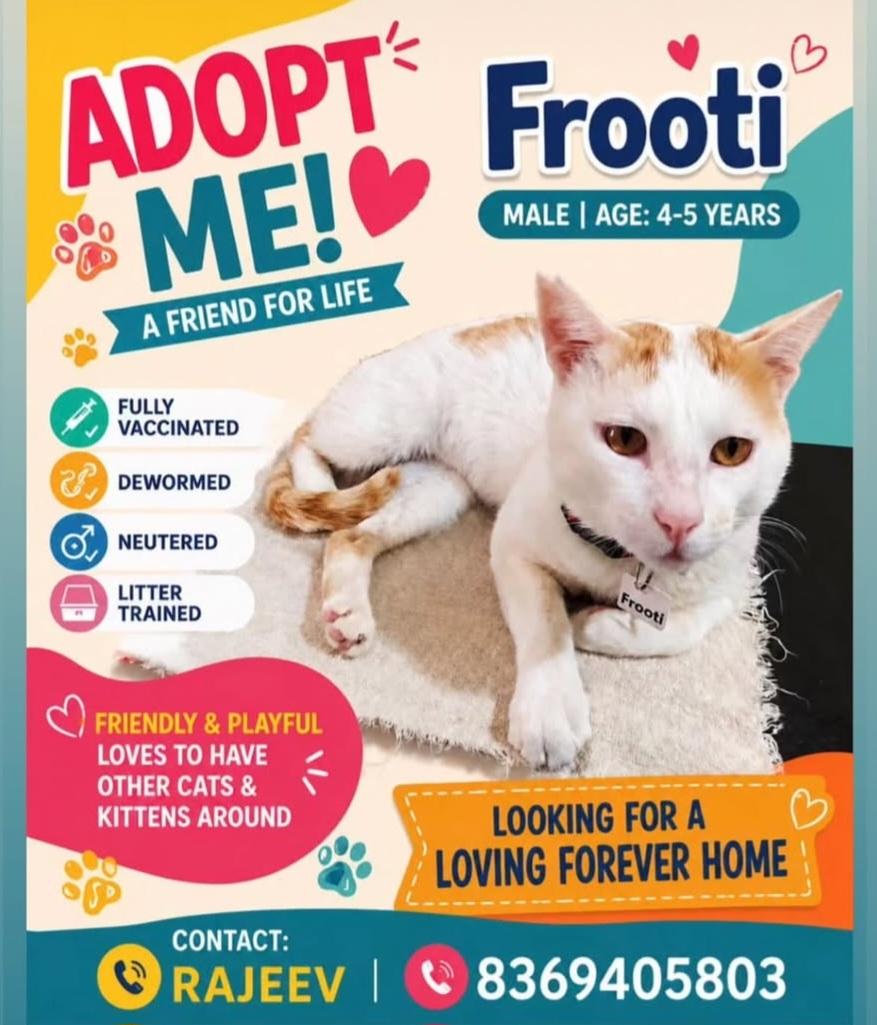 ADOPT ME! A FRIEND FOR LIFE