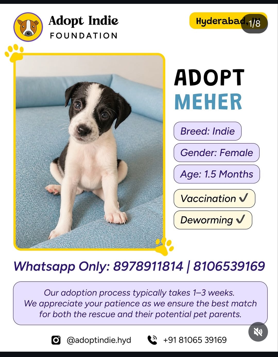 ADOPT MEHER
