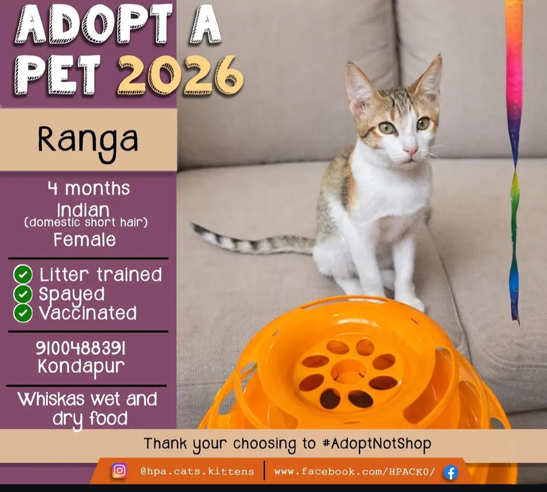 🐾 ADOPT RANGA – FIND YOUR FOREVER FRIEND! 🐾