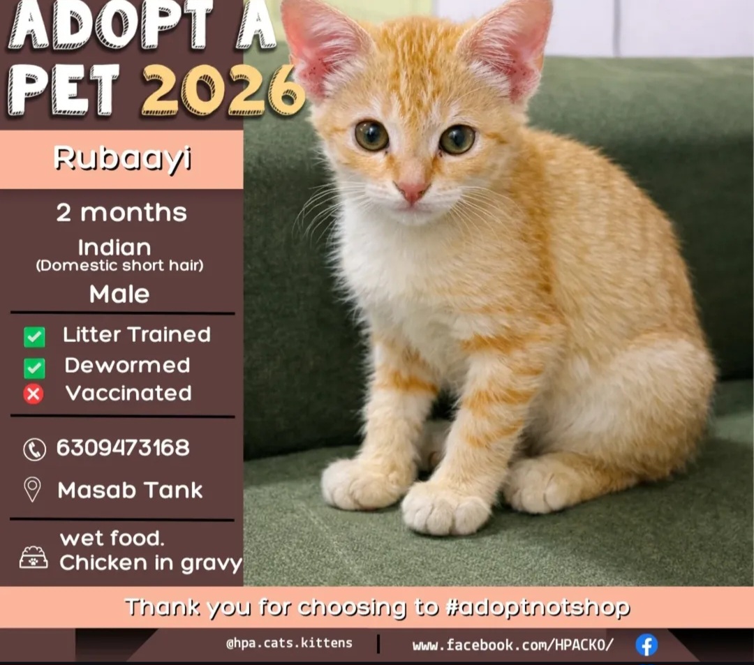🐾 Adopt Rubaayi