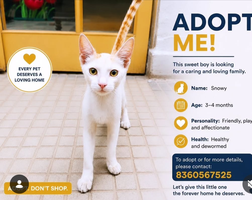 Adoption Alert