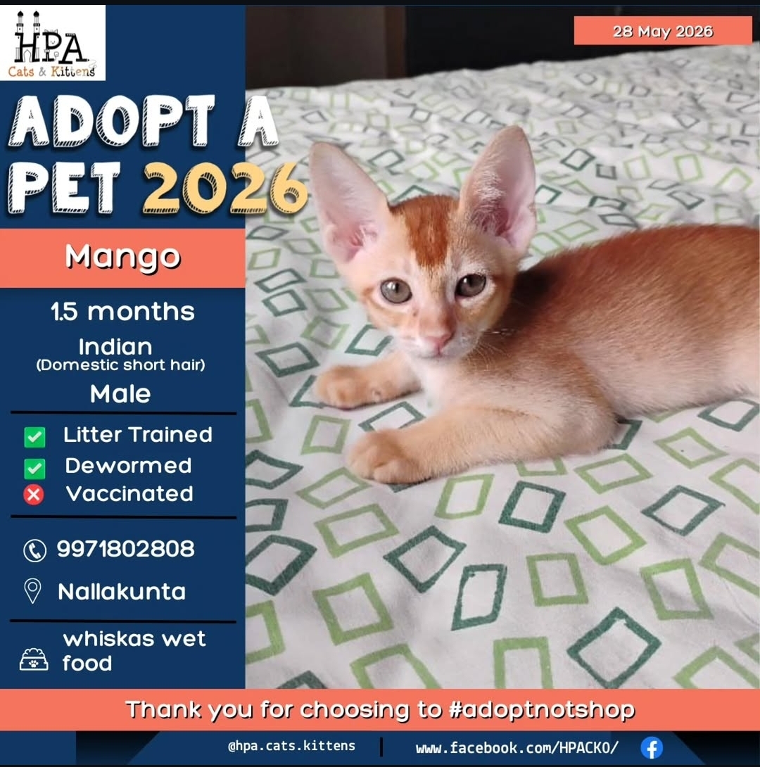Adoption Alert