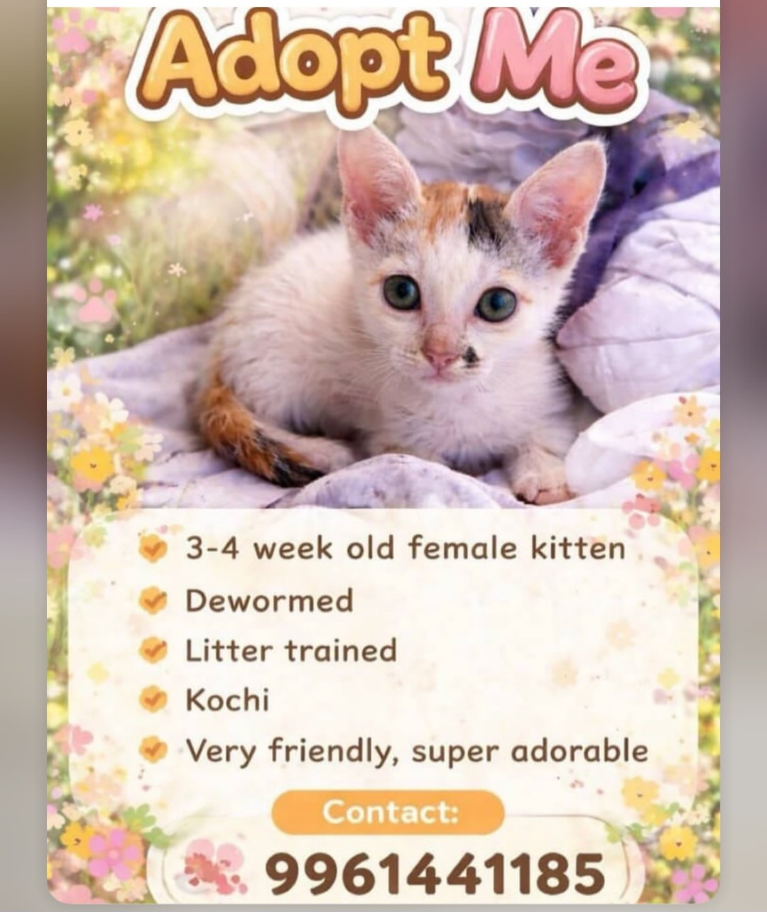 ADOPTION APPEAL