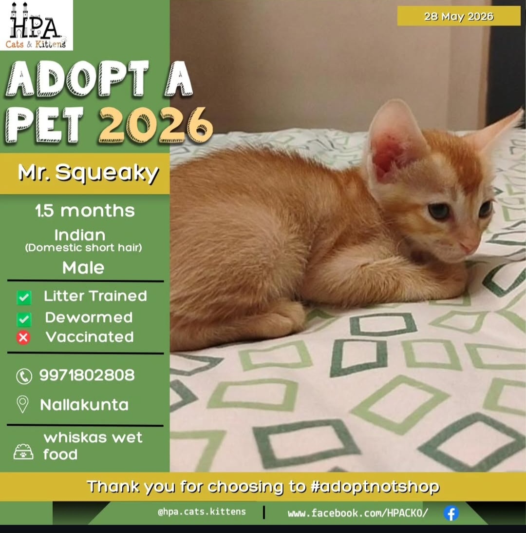 Adoption Appeal