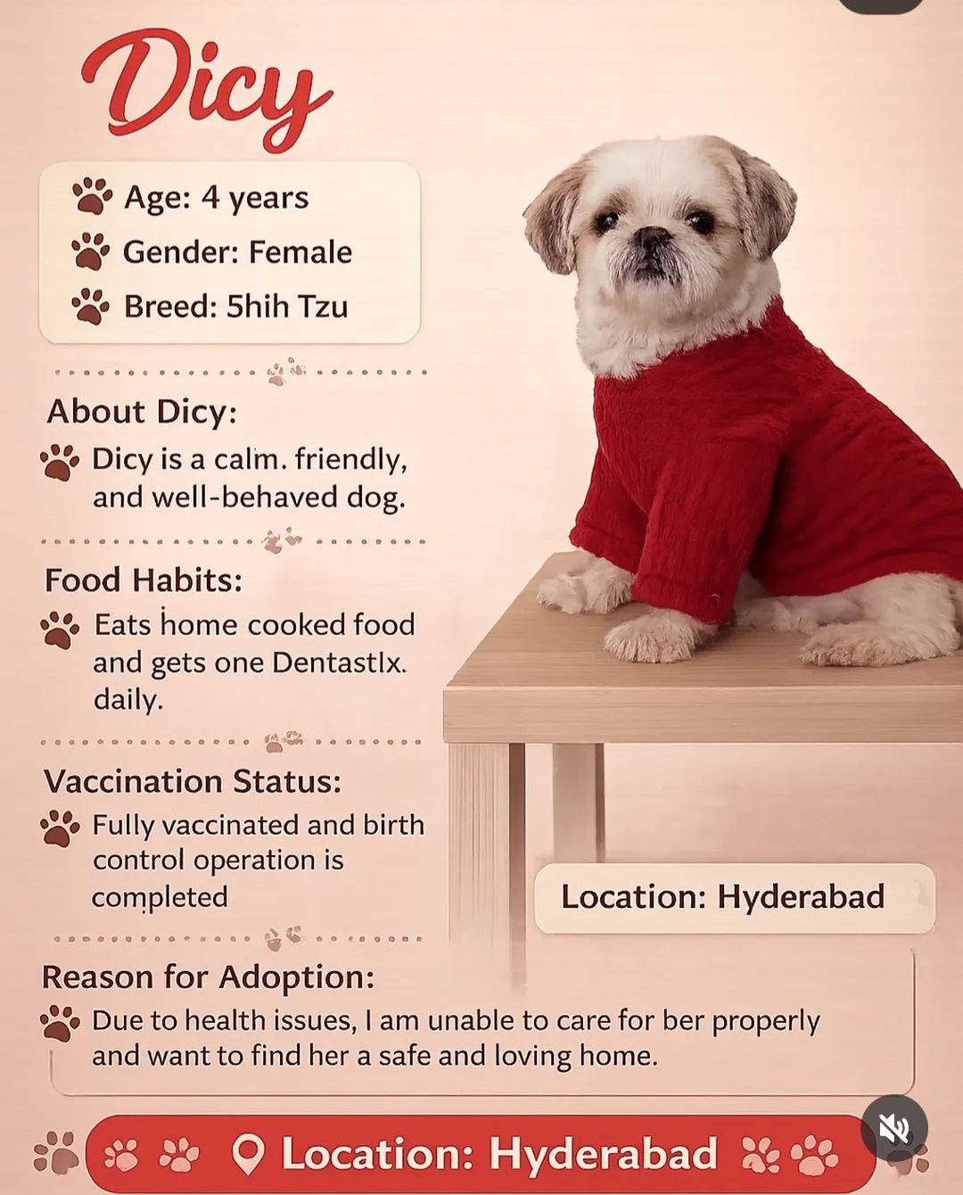 🐾 Dog for Adoption – Hyderabad 🐾