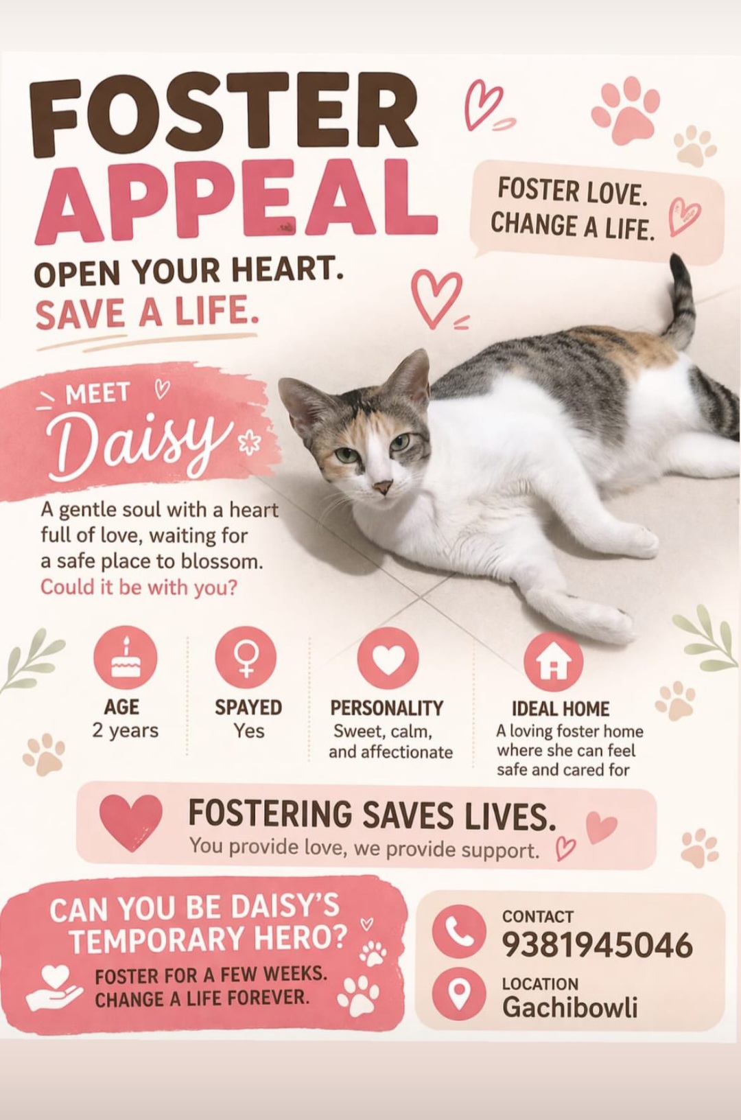 🌼 FOSTER APPEAL – BE DAISY’S HERO 🐾