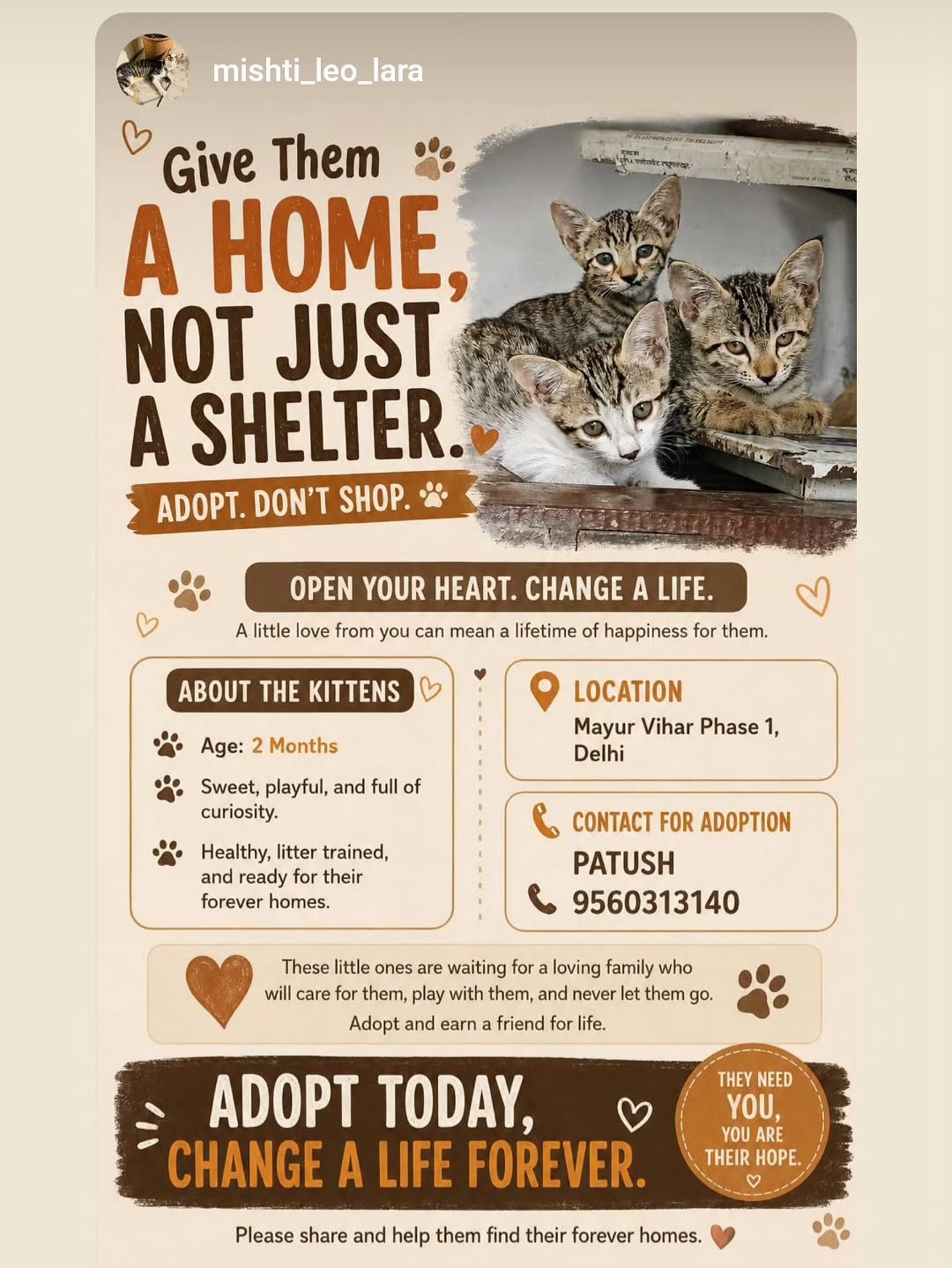 Give Them a Home, Not Just a Shelter Adopt, Don’t Shop