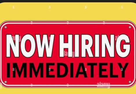 🔥 Immediate Hiring – Freshers