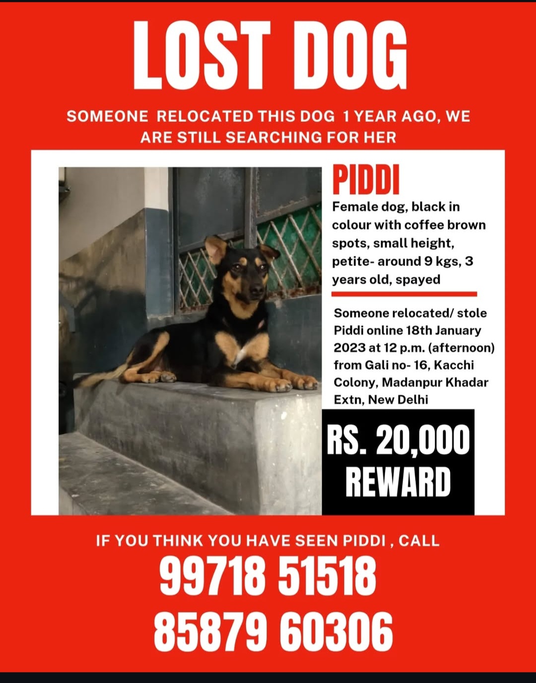 🚨 LOST DOG – REWARD ₹20,000 🚨
