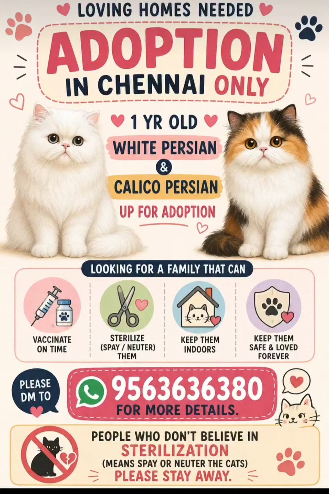 LOVING HOMES NEEDED – ADOPTION IN CHENNAI ONLY