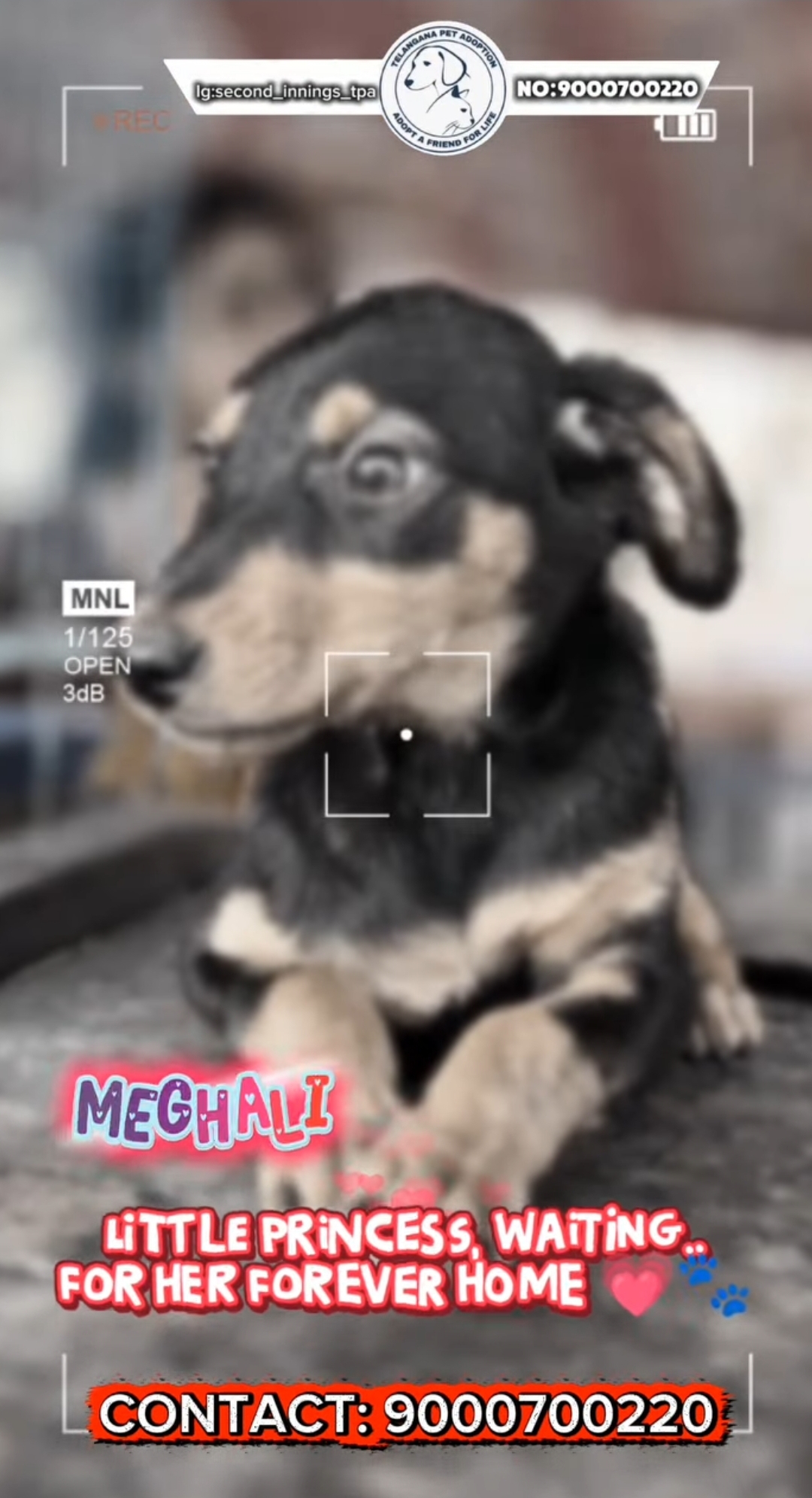 Meghali – Little Princess