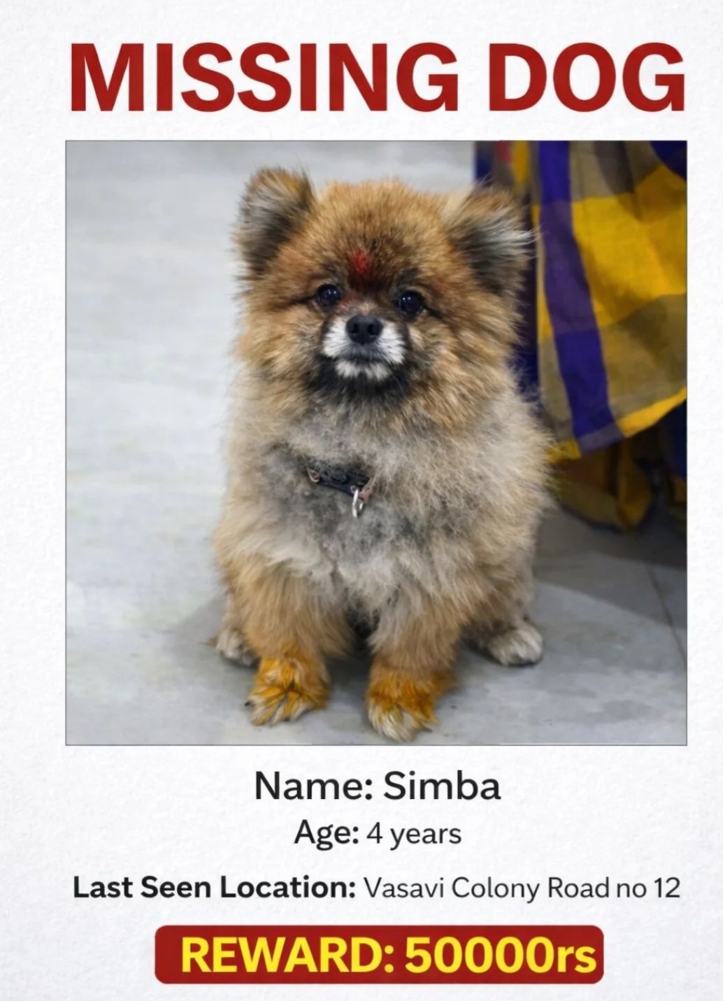 MISSING OUR BELOVED SIMBA