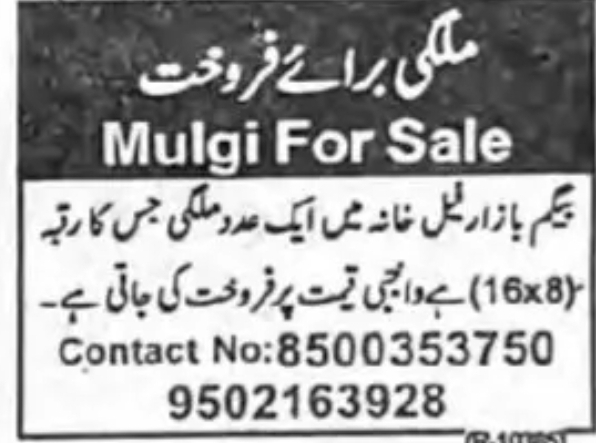 🏪 ملگی برائے فروخت