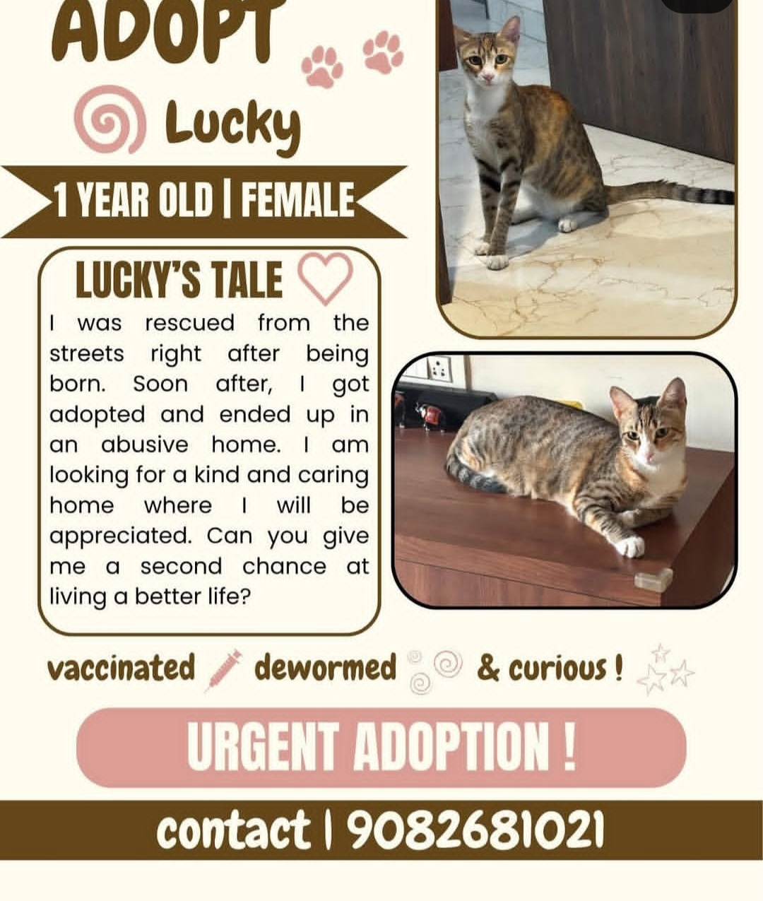 URGENT ADOPTION APPEAL – MUMBAI