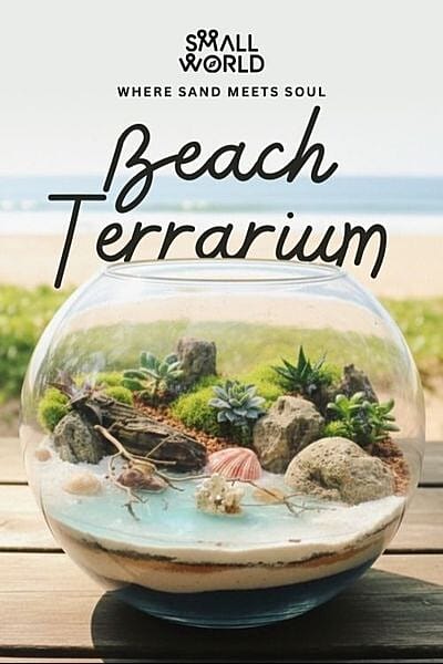 Beach Terrarium Workshop