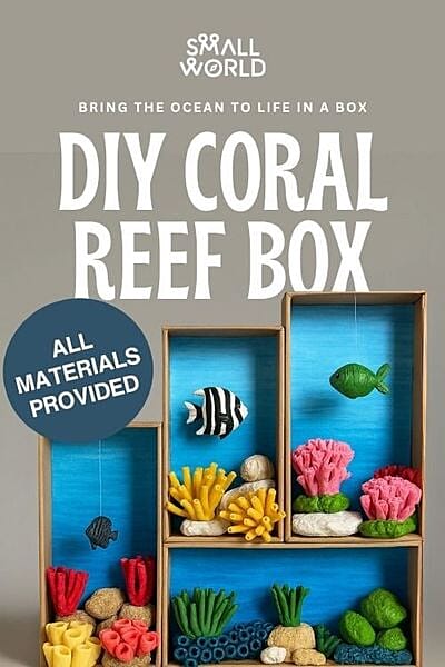 Coral Reef Box Workshop