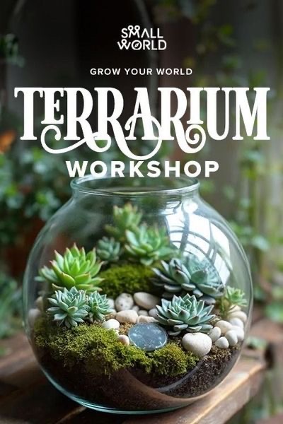 🌿✨ DIY Terrarium Workshop – Hyderabad