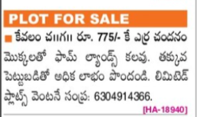 Farm Land For Sale