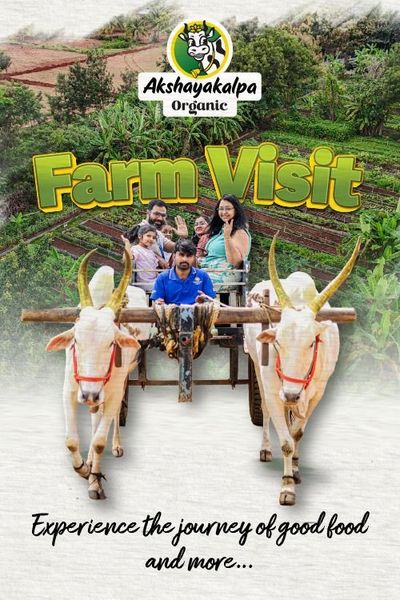 Farm & Organic Experience