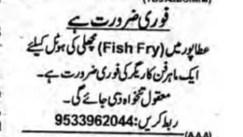 Fish Fry Chef Required in Attapur
