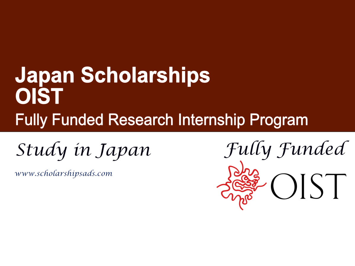 OIST Research Internship scholarship japan
