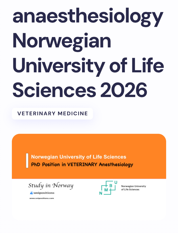 PhD Scholarship in Netherlands