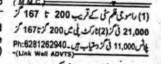 Plot for Sale Near Tarkapatri