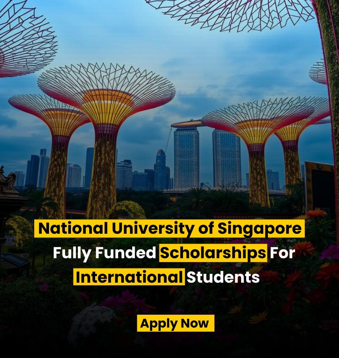 scholarship for Singapore uni