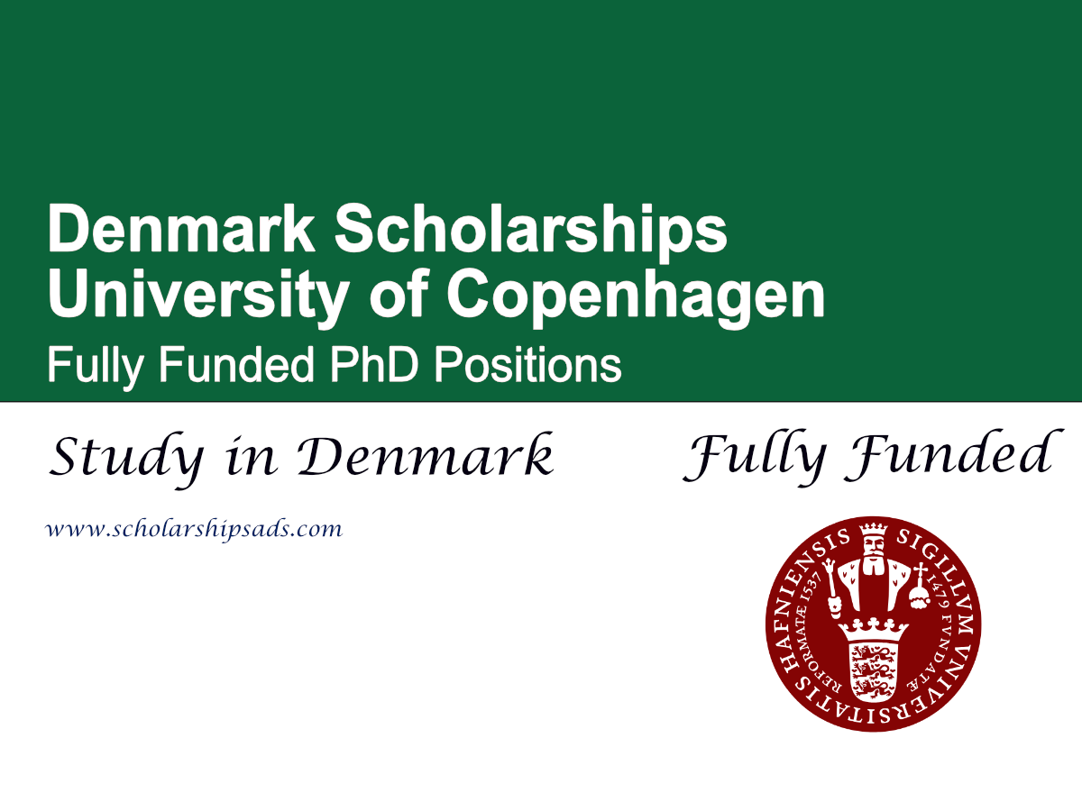 scholarship offer from Denmark