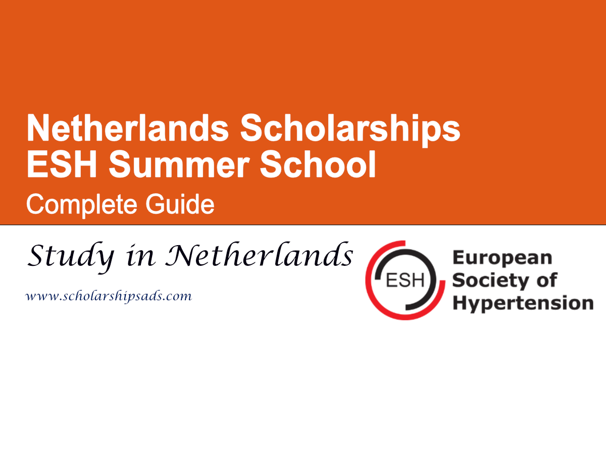 scholarship offer from Netherlands
