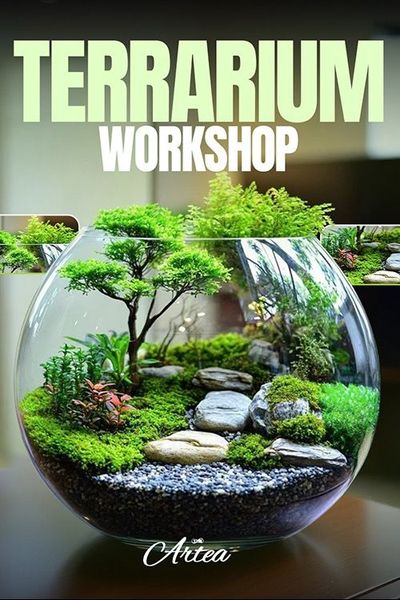 Terrarium Workshop