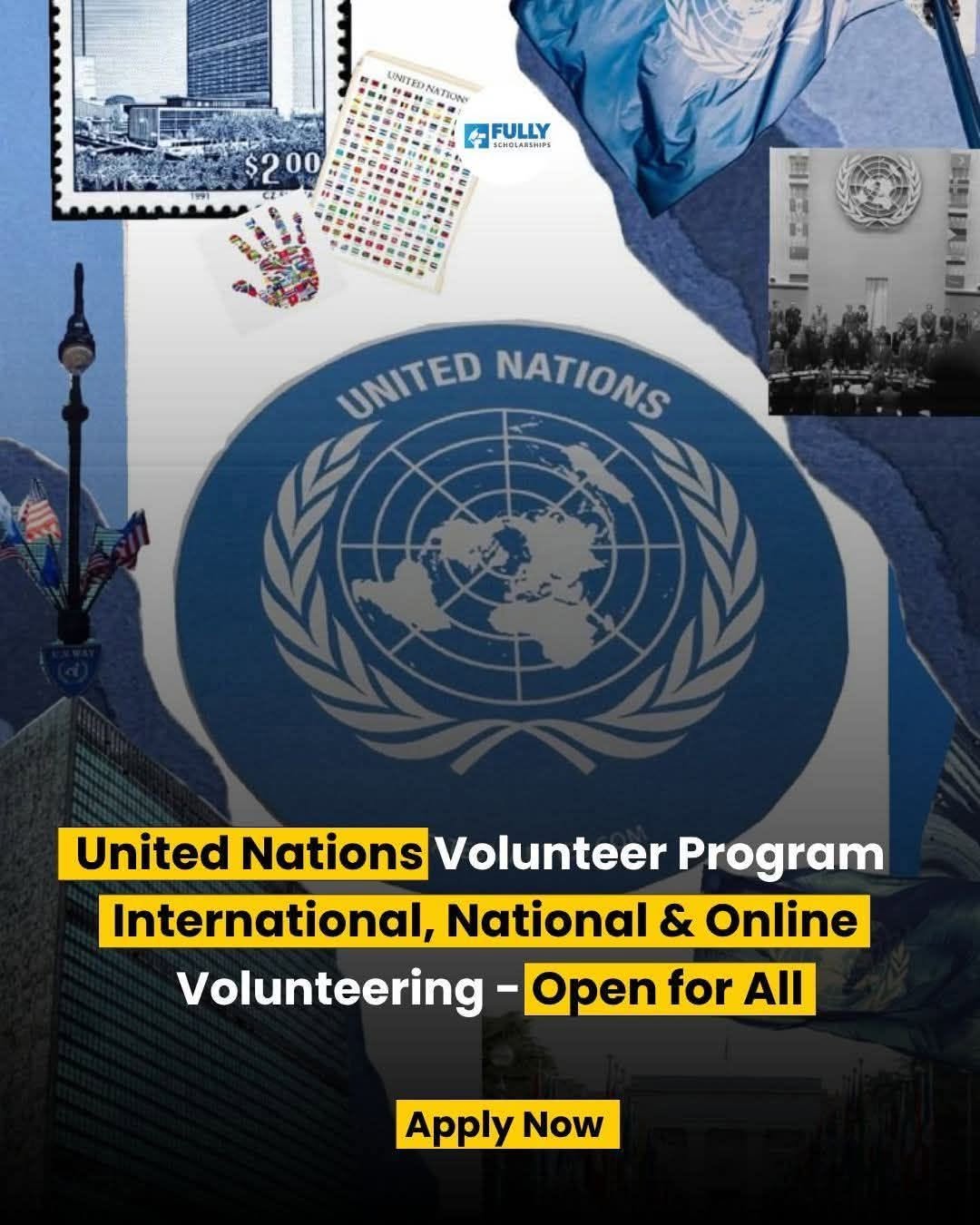 United Nations Volunteer Program 2026 🌍