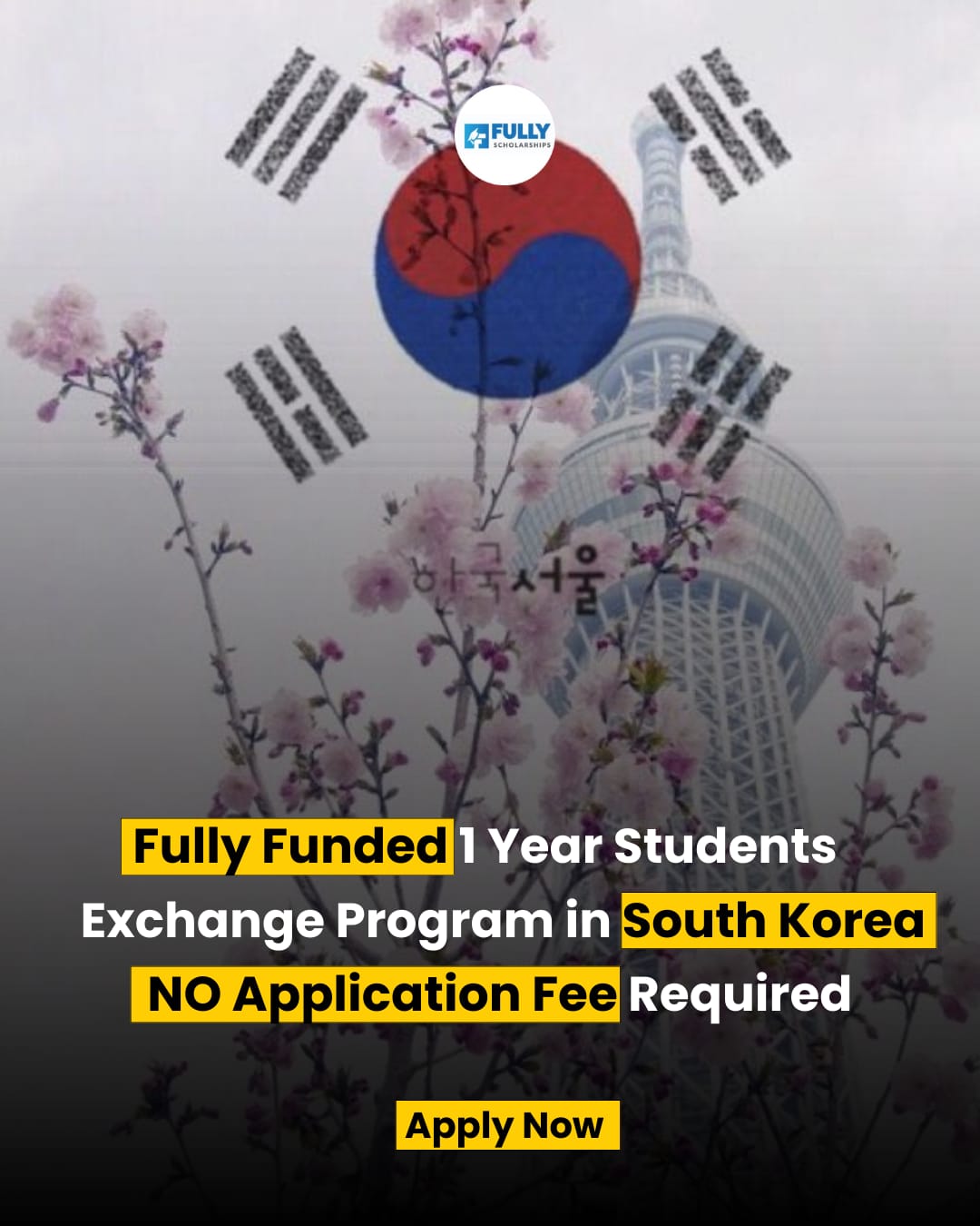 Young Leaders Exchange 2026 🇰🇷