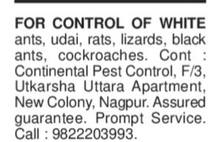 PEST CONTROL SERVICES